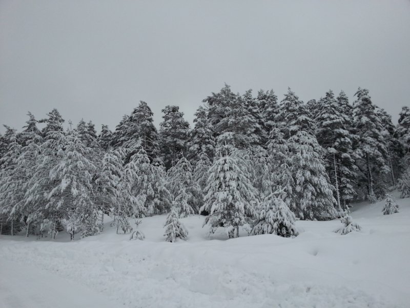 DSCF7851.jpg