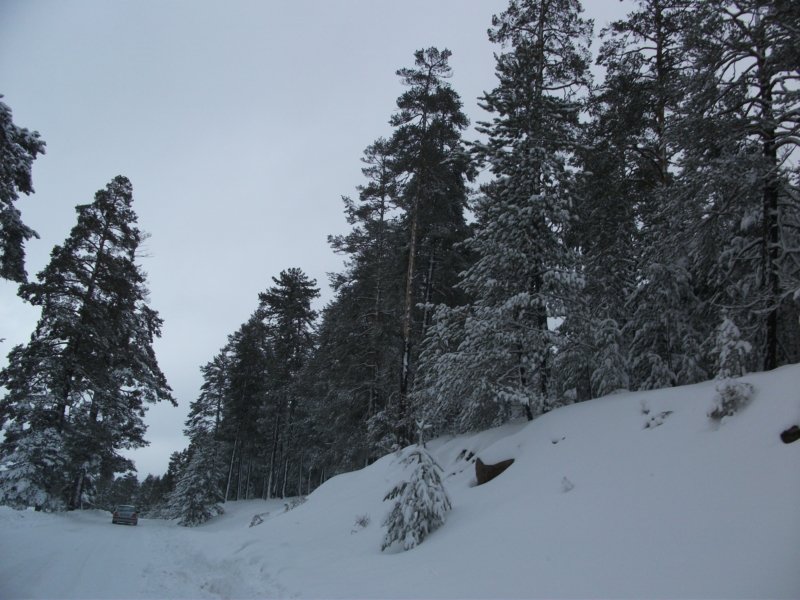 DSCF7883.jpg