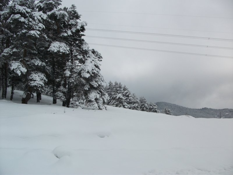 DSCF7887.jpg