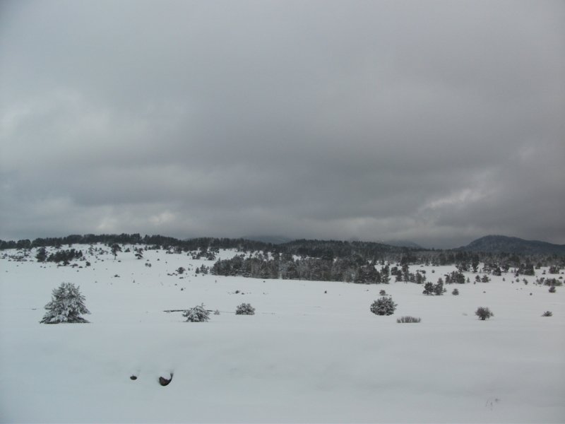 DSCF7888.jpg