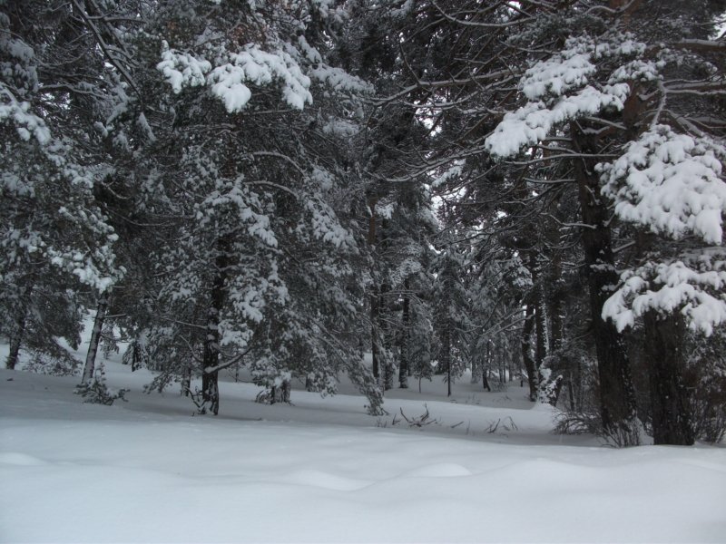 DSCF7891.jpg