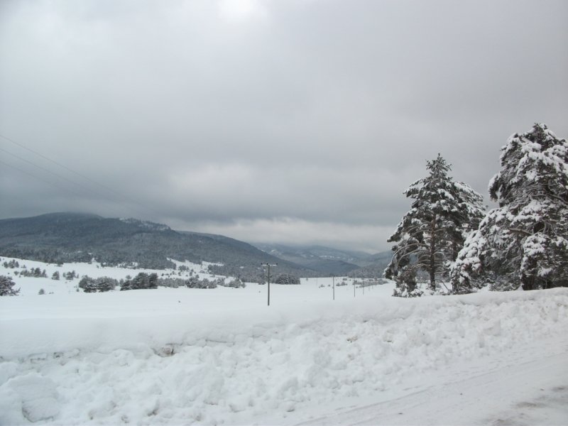 DSCF7893.jpg