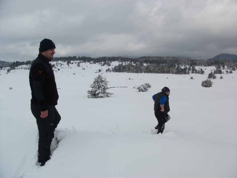 DSCF7901.jpg