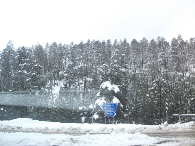 DSCF7910.jpg