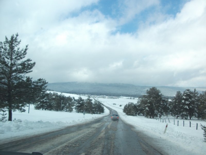 DSCF7911.jpg