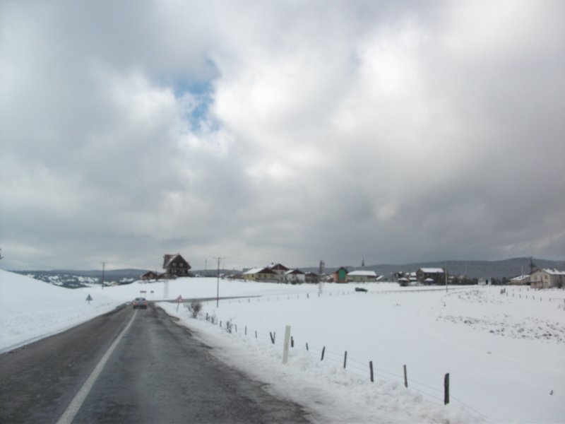 DSCF7915.jpg