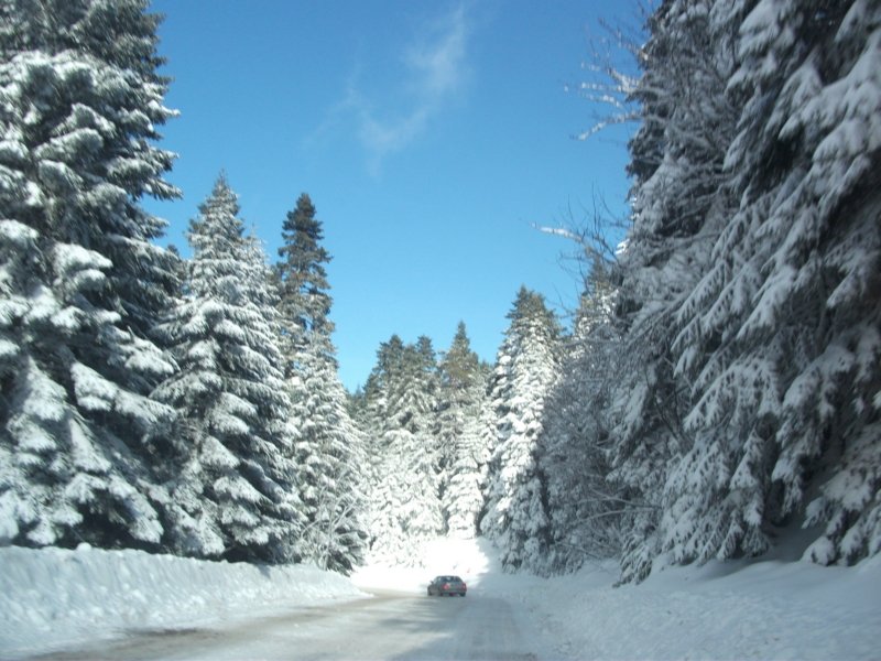 DSCF7916.jpg