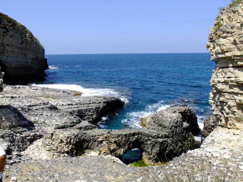 dscf8236.jpg