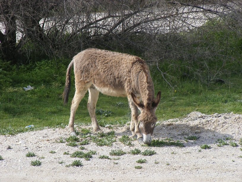 DSCF8337.JPG