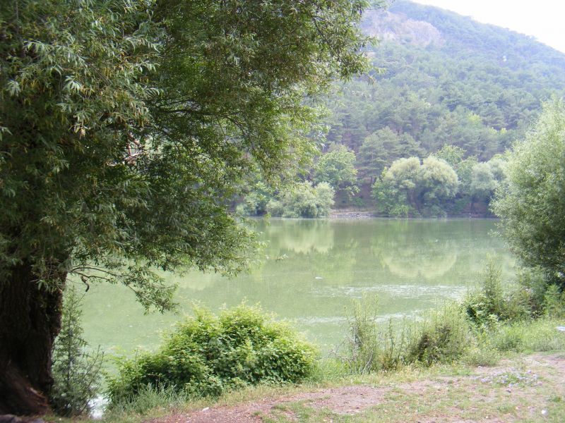 DSCF8550.jpg