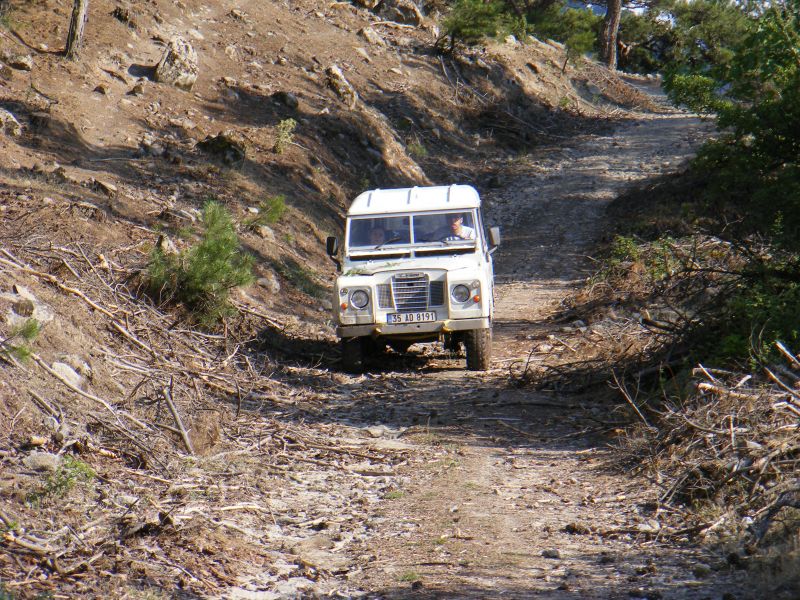 DSCF8599.jpg