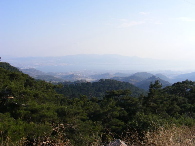 DSCF8608.jpg