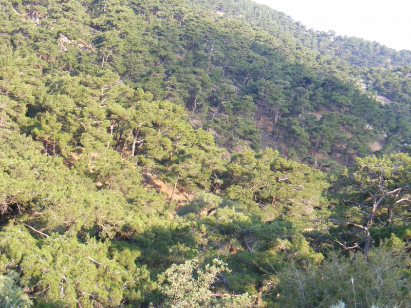 DSCF8609.jpg