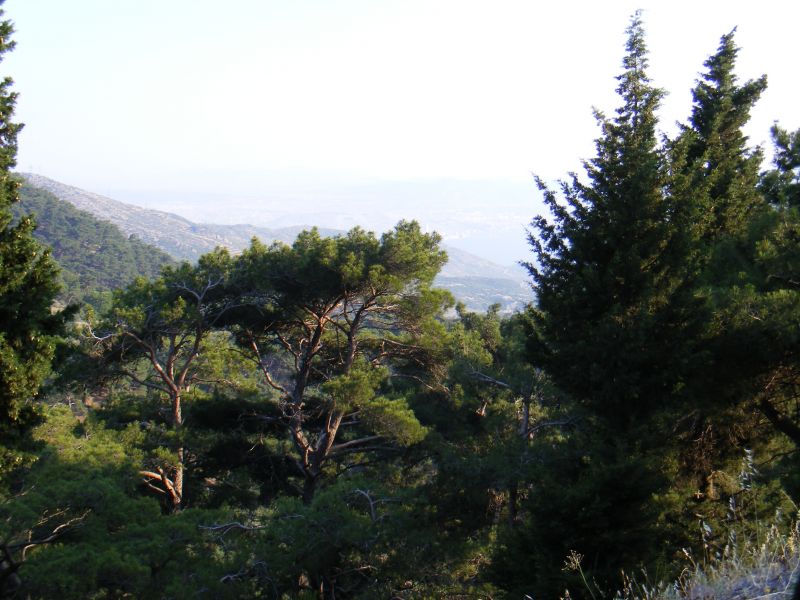 DSCF8610.jpg