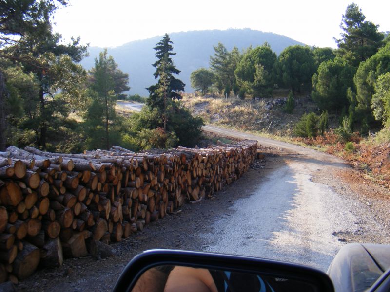 DSCF8611.jpg