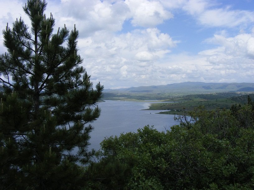 DSCF8865.JPG