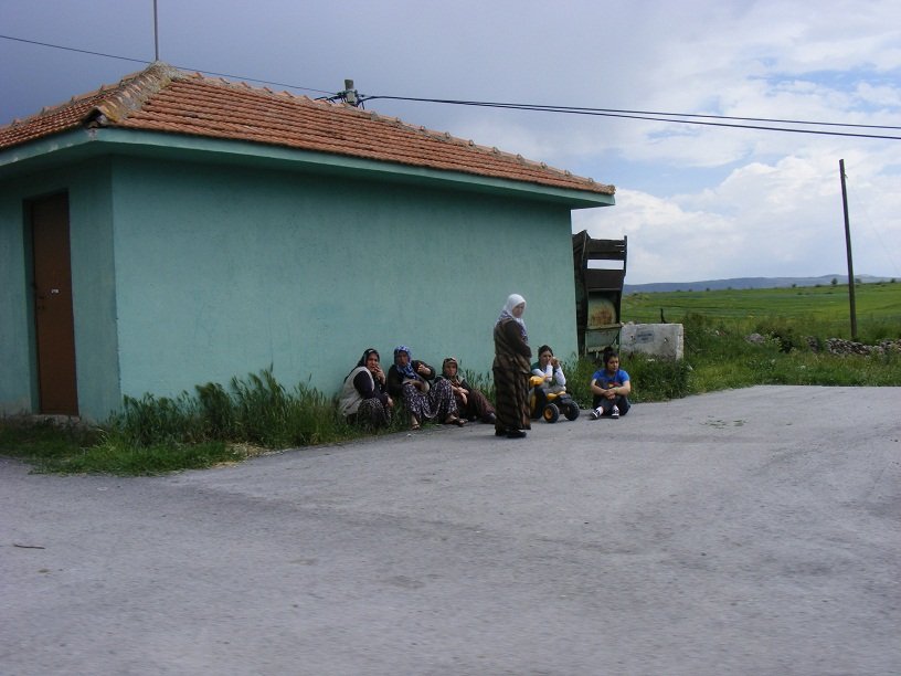 DSCF8891.JPG
