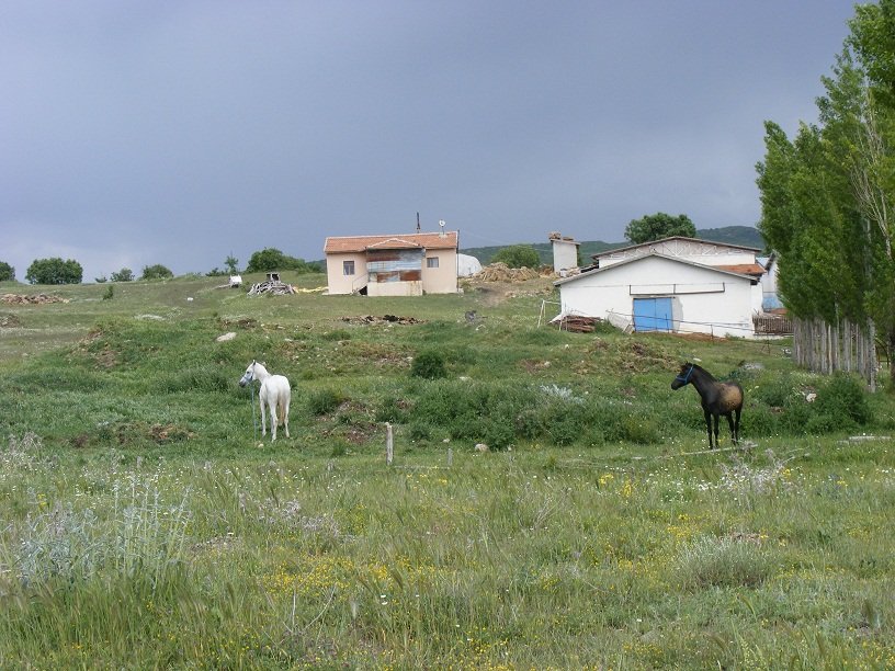 DSCF8892.JPG