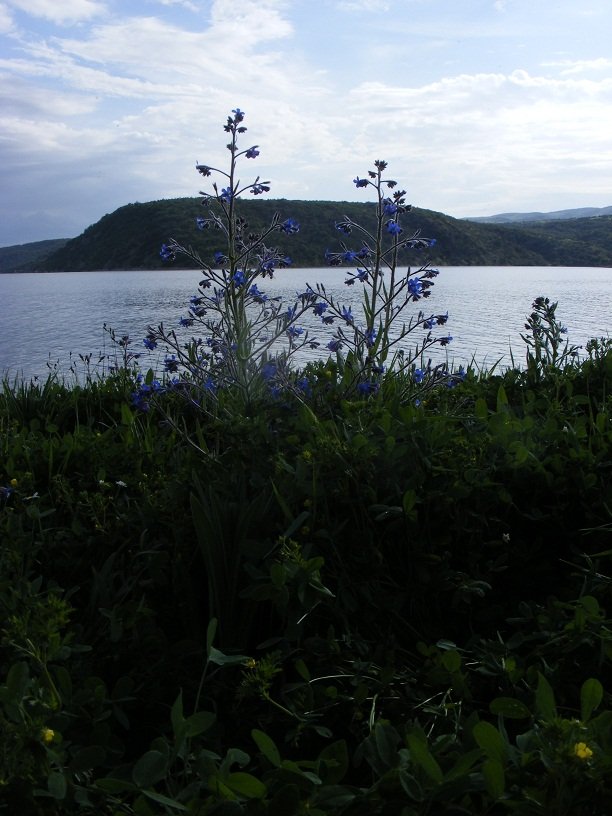 DSCF8910.JPG