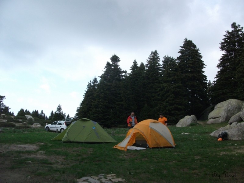 DSCF8965.jpg