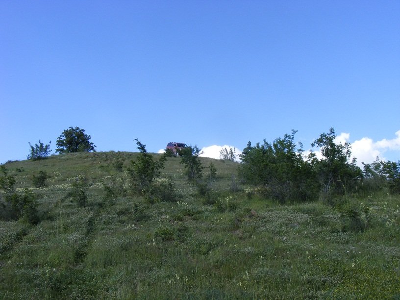 DSCF9120.JPG