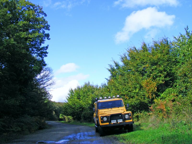 DSCF9156.jpg