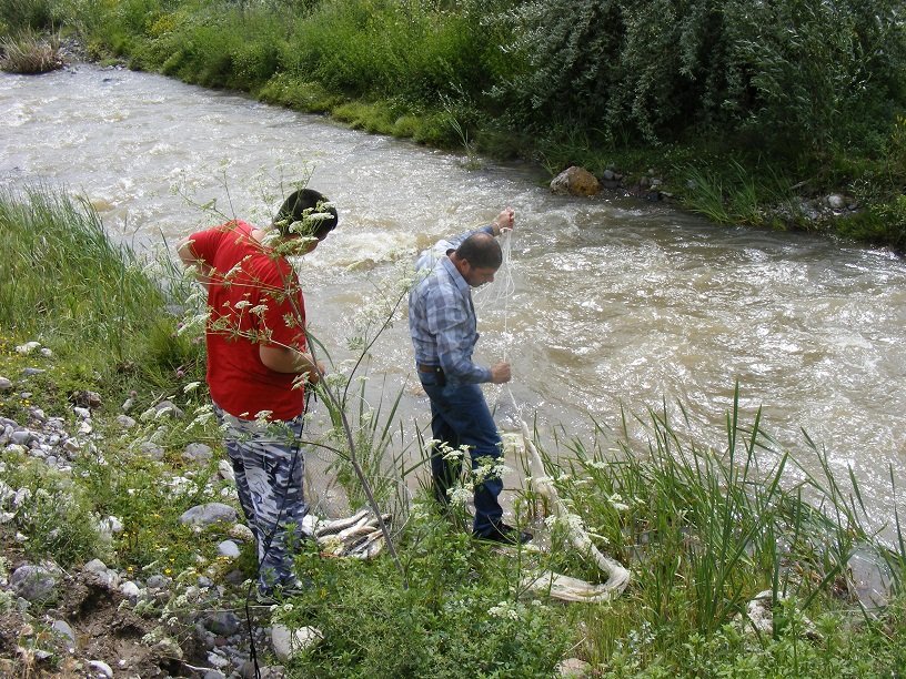 DSCF9362.JPG