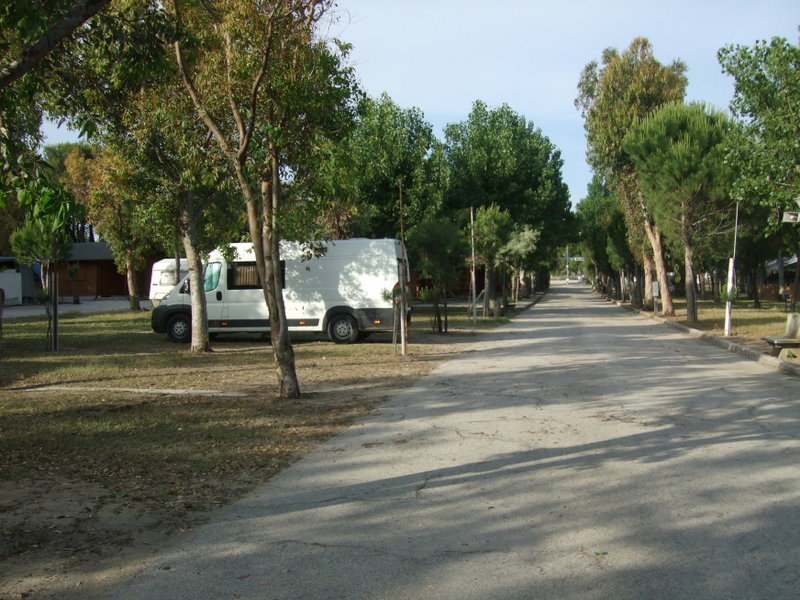 DSCF9385.JPG