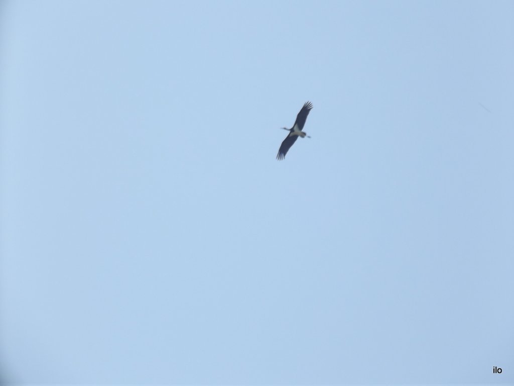 DSCF9873.jpg