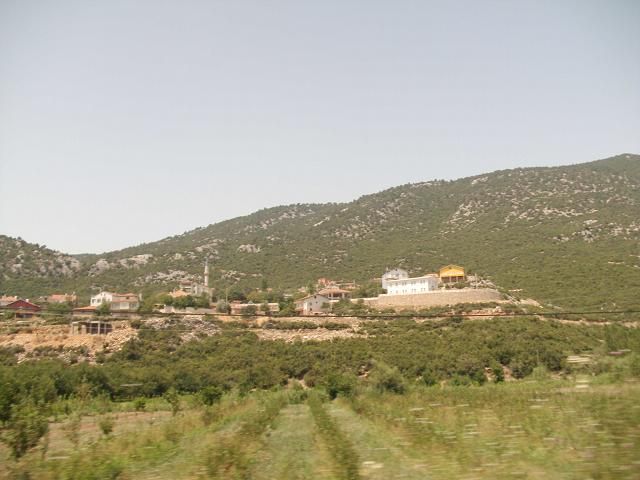 DSCI0005.jpg