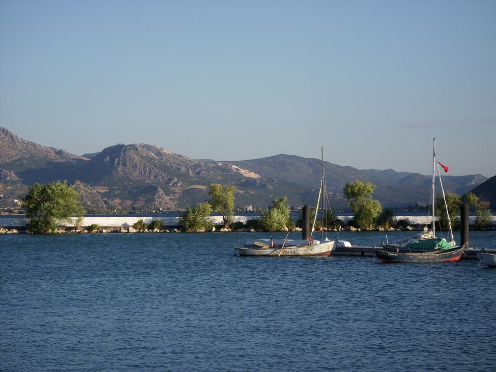 DSCI0008.JPG