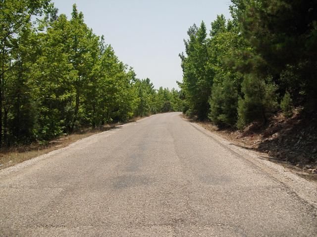 DSCI0009.jpg
