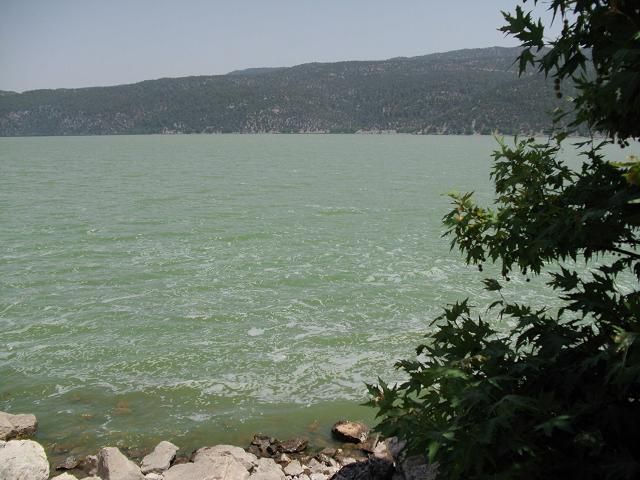 DSCI0011.jpg