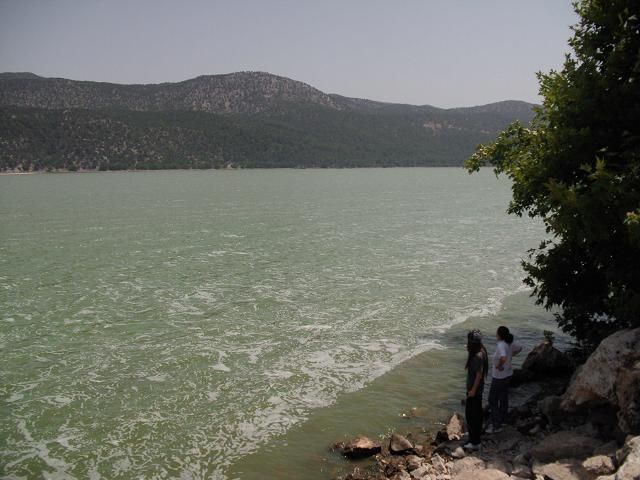 DSCI0012.jpg