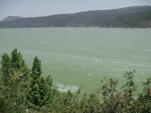 DSCI0018.jpg