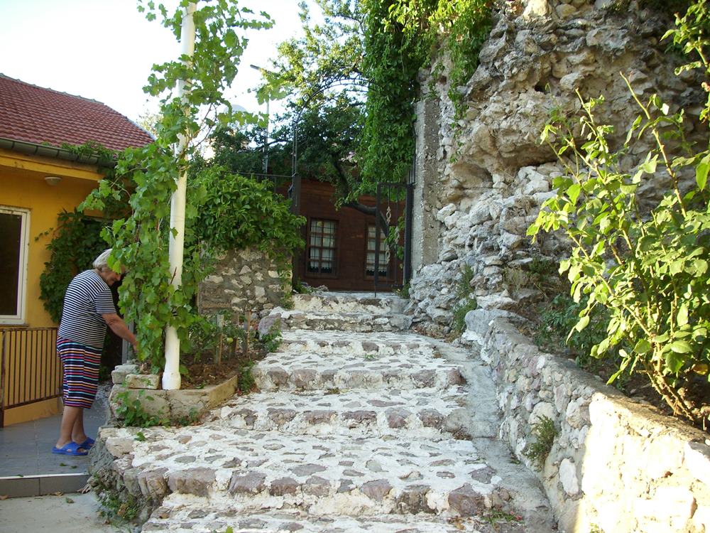 DSCI0020.JPG