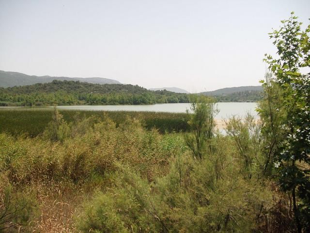 DSCI0028.jpg