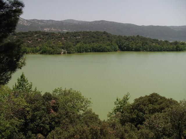 DSCI0031.jpg