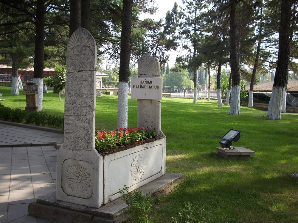 DSCI0045.JPG