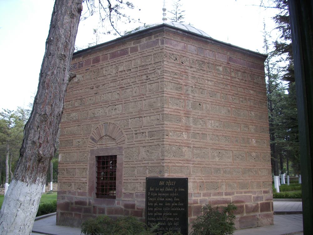 DSCI0050.JPG