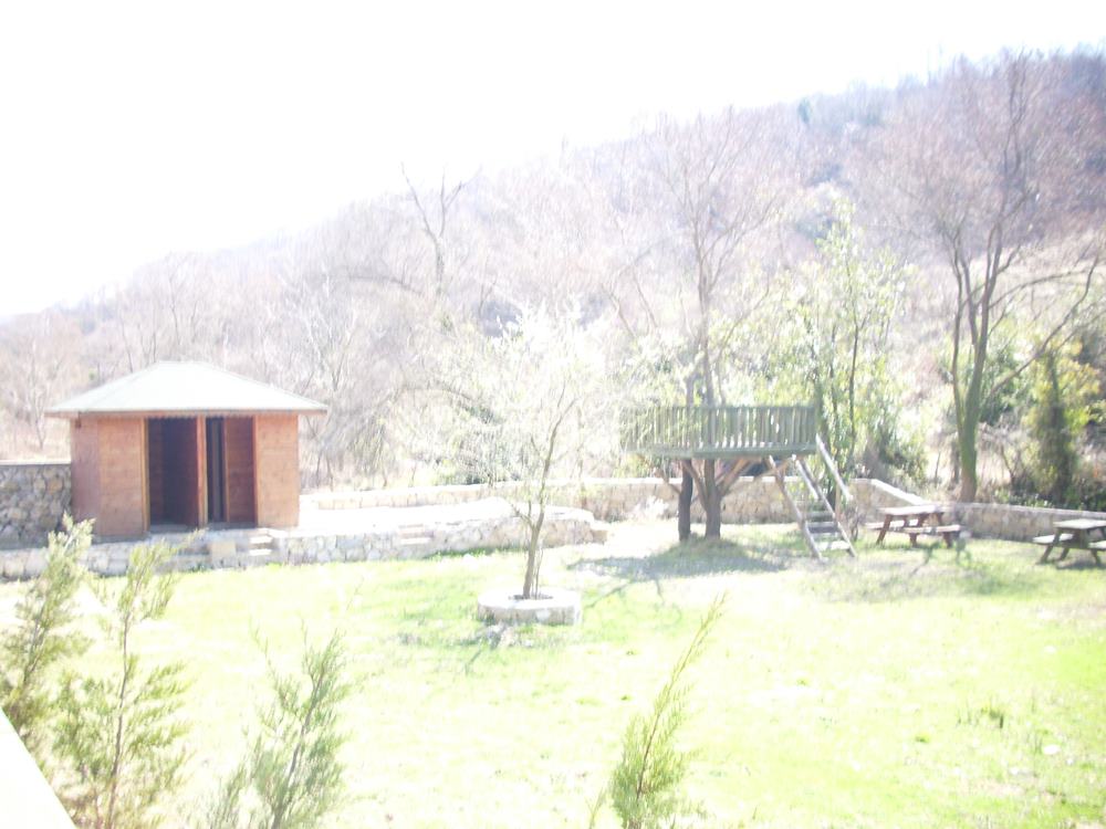 DSCI0077.JPG