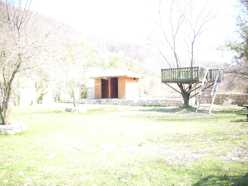 DSCI0080.JPG