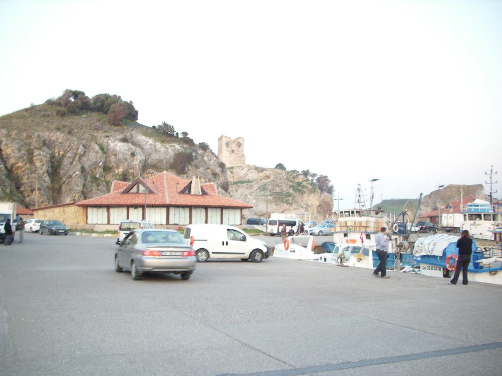 DSCI0109.JPG