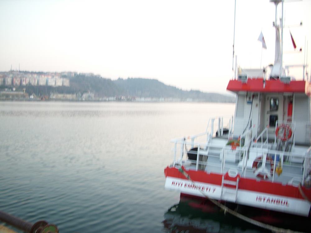DSCI0113.JPG