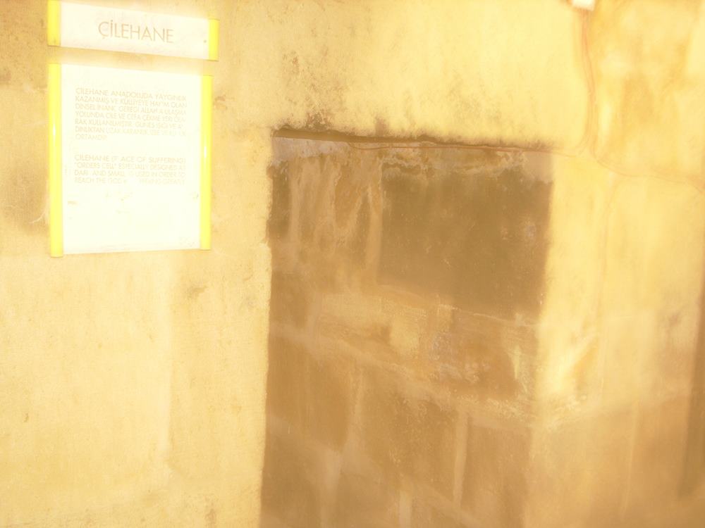 DSCI0355.JPG