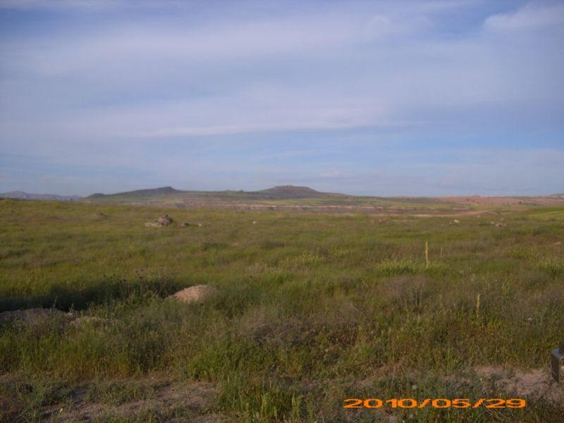 DSCI0390.jpg