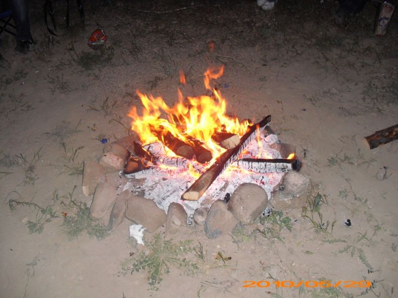 DSCI0409.jpg