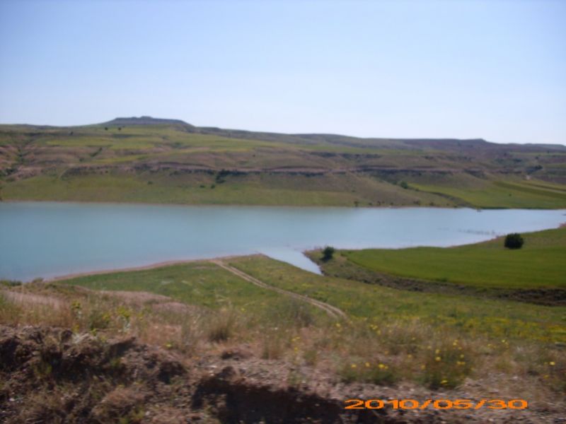 DSCI0423.jpg