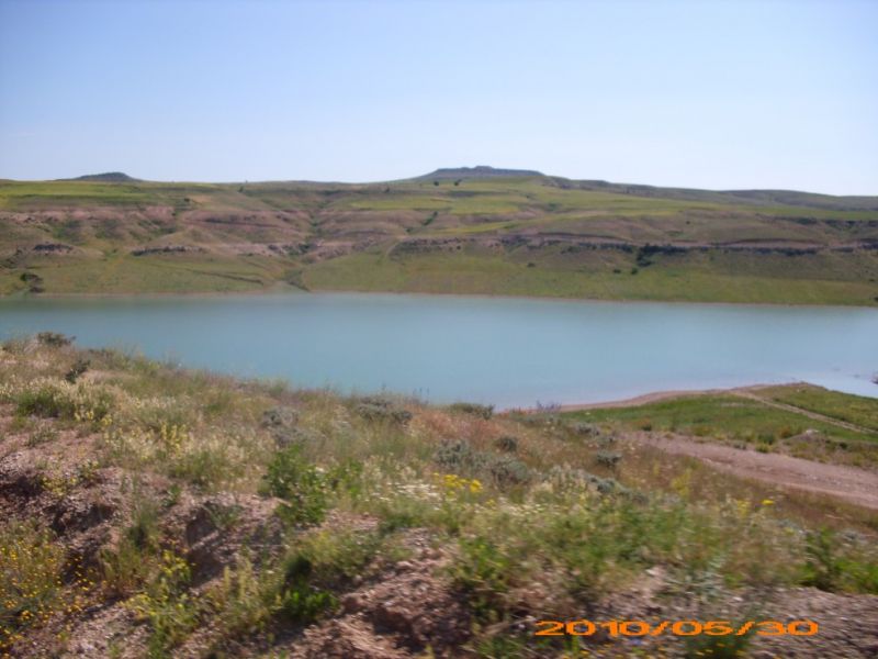DSCI0424.jpg