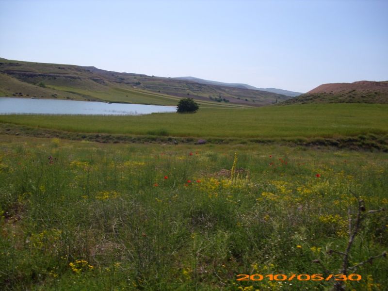 DSCI0426.jpg